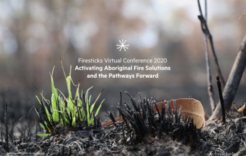 Firesticks Virtual Conference report